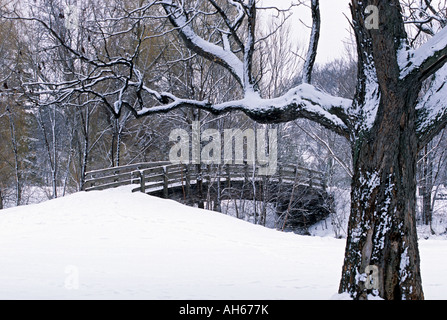 Ponte pedonale su MINNEHAHA Creek. MINNEAPOLIS, Minnesota. Gennaio. Foto Stock