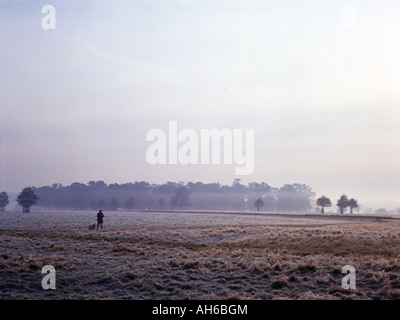 Lone figura con il cane in un paesaggio glaciale Foto Stock