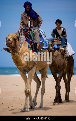 Due piloti del cammello avvicinando lungo una spiaggia a Essaouira, Marocco. Essi vendono le corse di cammelli ai turisti. Foto Stock