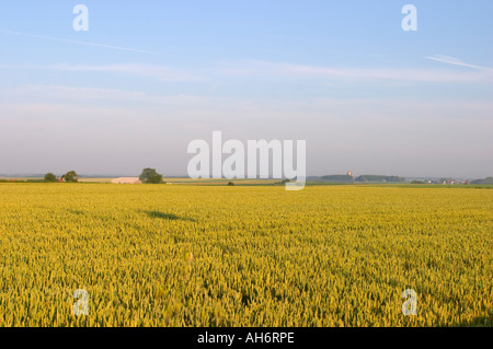 Vista su campi Pozieres (ex campi di battaglia) verso Thiepval, Somme, Francia (Thiepval Memorial visibile in distanza) Foto Stock