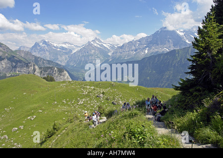 Alpengarten Schynige Platte vicino a Interlaken con fiori alpini e le viste verso Faulhorn Wetterhorn e Schreckhorn Foto Stock