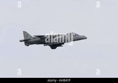 Velivolo harrier Foto Stock