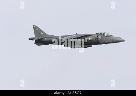 Velivolo harrier Foto Stock