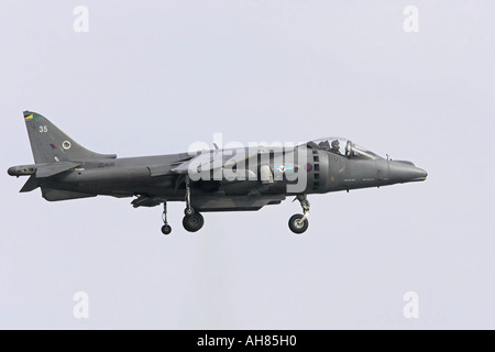 Velivolo harrier Foto Stock