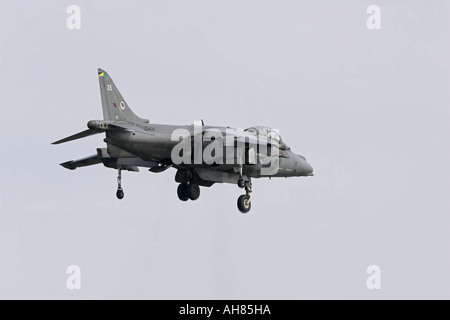 Velivolo harrier Foto Stock