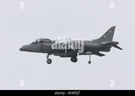 Harrier mk9 nel passare il puntatore del mouse Foto Stock