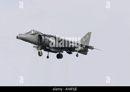 Harrier mk9 nel passare il puntatore del mouse Foto Stock
