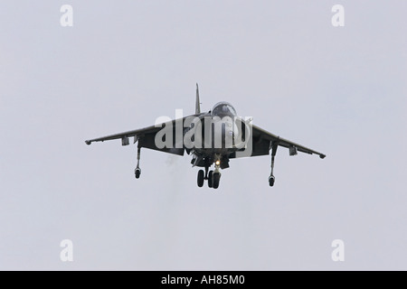Harrier mk9 nel passare il puntatore del mouse Foto Stock