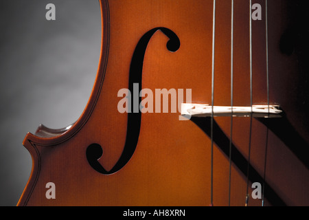 Musica ritmo classico gioco giocatore stringa strumento strumentista strumentale Symphony orchestra tunes di teoria della musica concert dir Foto Stock