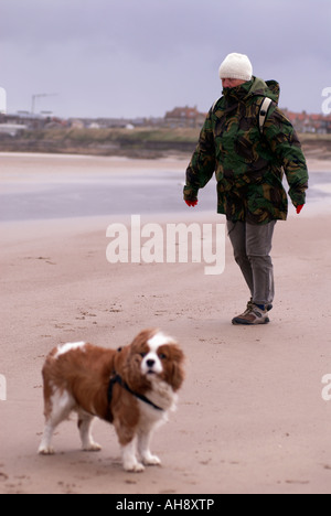 Walker e cane su un ventoso Seahouses beach in Northumberland "Gran Bretagna" Foto Stock