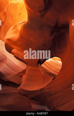 Forme e modelli scavate nella pietra arenaria Navaho nello Slot Canyon in Page Arizona Foto Stock