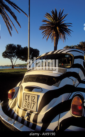 Sud Africa Cape Town Beetle vettura dipinta come una Zebra a Camps Bay Foto Stock
