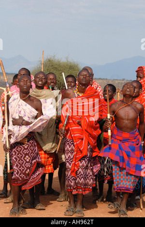 Un gruppo di Samburu uomini ballare vicino a Samburu Riserva nazionale del Kenya Africa orientale Foto Stock