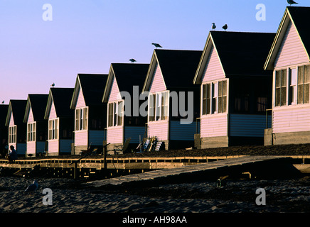 Case vacanze lungo la spiaggia di North Truro su Cape Cod Massachusetts Foto Stock