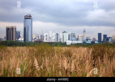 Prenotazione ecologico Park, dal River Plate (Rio de la Plata). "Costanera Sur". Buenos Aires, Argentina, Sud America. Foto Stock