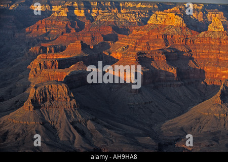 La luce del mattino dipinge il deserto paesaggio del Parco Nazionale del Grand Canyon Arizona Foto Stock