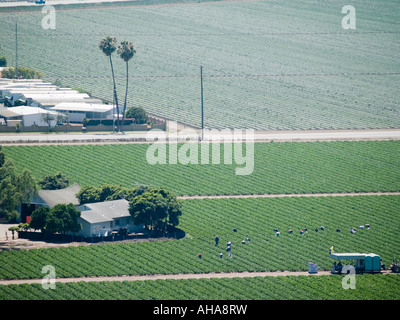 Campi dell'azienda agricola Foto Stock