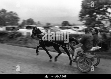 Fuori per un giro. Domenica i piloti con cavallo e carrello Foto Stock