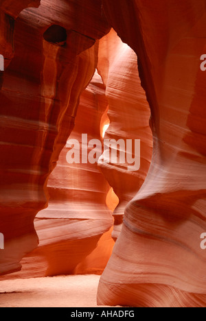 Tomaia Antelope Canyon - l'Orso Foto Stock