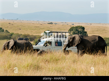 Toyota Landcruiser vicino all'elefante nella Riserva Nazionale di Masai Mara Kenya Africa orientale Foto Stock