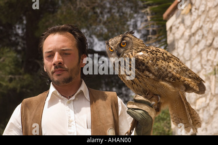 Falconer dall International Eagle e Falcon Show di Castelmola Italia con il gufo Foto Stock