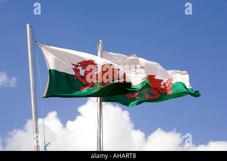 Regno Unito Hampshire Romsey Broadlands CLA gioco equo villaggio gallese Welsh bandiere Foto Stock