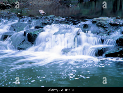 Una piccola cascata; a Ouseburn, Jesmond Dene, Newcastle upon Tyne, Inghilterra, Regno Unito. Foto Stock