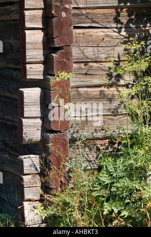 Vecchi Log in Log Cabin spigolo di parete Foto Stock