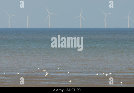 Le turbine eoliche di Kentish Flats per centrali eoliche dal mare muro a Sheerness gabbiani alimentazione sulla spiaggia in primo piano Foto Stock