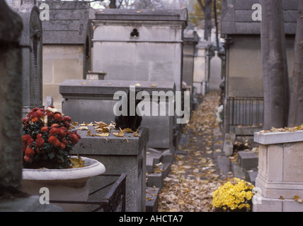 Gatto nero sulla tomba nel cimitero di Pere Lachaise, Parigi Foto Stock
