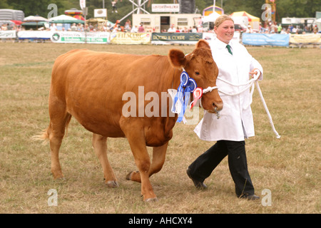 Cranleigh Visualizza Agosto 2006 Foto Stock