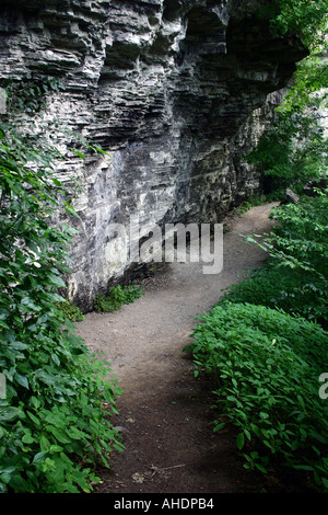 Indian scaletta a John Boyd Thacher Park New York STATI UNITI D'AMERICA Foto Stock