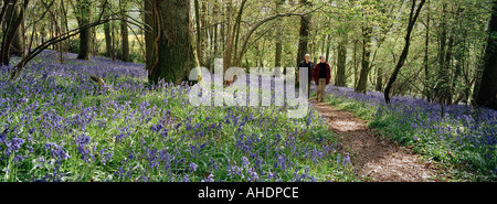 Coppia di anziani a piedi nella Blue Bell legno Foresta di Dean Wye Valley Regno Unito Foto Stock