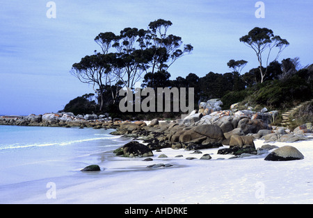 La spiaggia a Binalong Bay, Baia di incendi, Tasmania, Australia Foto Stock