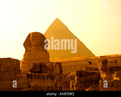 La sfinge e la piramide di Khafre nella luce dorata Foto Stock