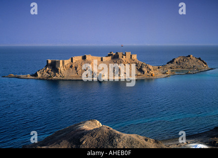 Isola di Corallo, Nr. Taba, Sinai, Egitto Foto Stock