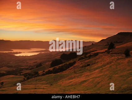 Vista dalla cima della collina che guarda verso Akaroa sulla Penisola di Banks vicino a Christchurch sull'isola del sud della Nuova Zelanda Foto Stock