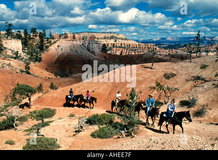 Stati Uniti d'America, Utah, Parco Nazionale di Bryce Canyon, trekking a cavallo in anfiteatro di Bryce Foto Stock