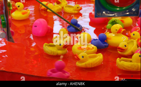 Agganciare un anatra. Foto Stock