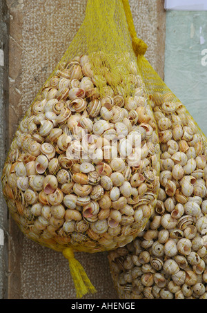 Bundle di prodotti commestibili escargot lumache appeso di fronte ad un ristorante a Lisbona Portogallo Foto Stock