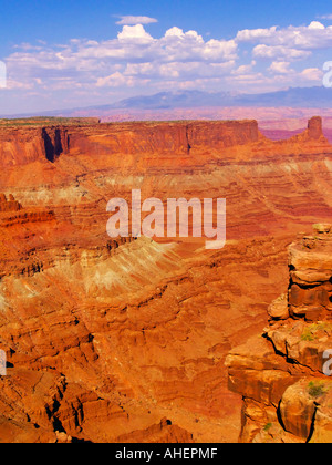 Vista panoramica del Grand Canyon dal Dead Horse Point State Park nel sudest dell'Utah Foto Stock