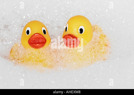 Due gomma gialla Anatre in bagno di bolle Foto Stock