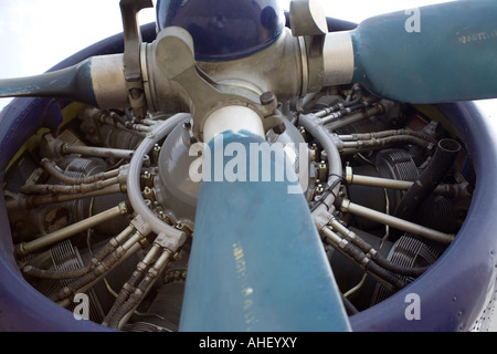 Motore aereo Chiudi vista Foto Stock