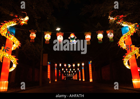 Festa delle lanterne a Yuanmingyuan il vecchio palazzo estivo durante la metà autunno Festival di Primavera di Distretto Haidian beijing cina Foto Stock