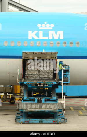 Trasporto aereo cargo carico pallet su KLM aereo jet piano Foto Stock