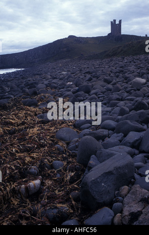 Il castello di Dunstanburgh visto dalla spiaggia, Northumberland, Regno Unito. 2000. Foto Stock