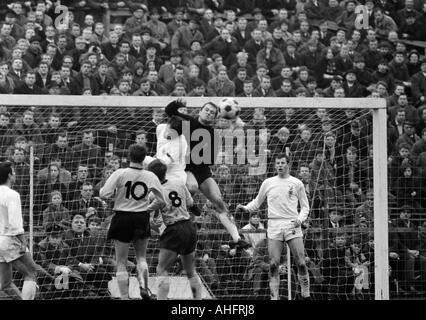 Calcio, Bundesliga, 1967/1968, Borussia Dortmund contro il Borussia Moenchengladbach 3:1, Stadio Rote Erde a Dortmund, scena del match, f.l.t.r. Peter Dietrich (Gladbach), due giocatori di Dortmund, Egon Milder, custode Volker Danner, Erwin Spinnler (tutti gl Foto Stock