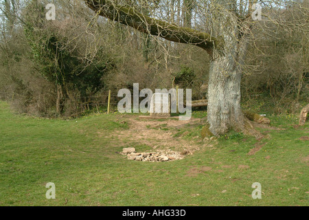 Sorgente del Fiume Tamigi nr Kemble Gloucestershire in Inghilterra Foto Stock