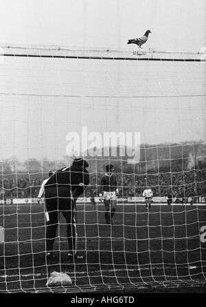 Calcio, Bundesliga, 1969/1970, Niederrhein Stadium di Oberhausen, Rot-Weiss Oberhausen contro FC Schalke 04 0:3, scena del match, custode Josef Melting (Schalke) sorge nell'obiettivo, un piccione seduti sulla traversa Foto Stock