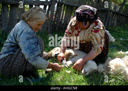 Due donne turche tranciatura le loro pecore Bezirgan in un piccolo villaggio nel sud della Turchia. Foto Stock